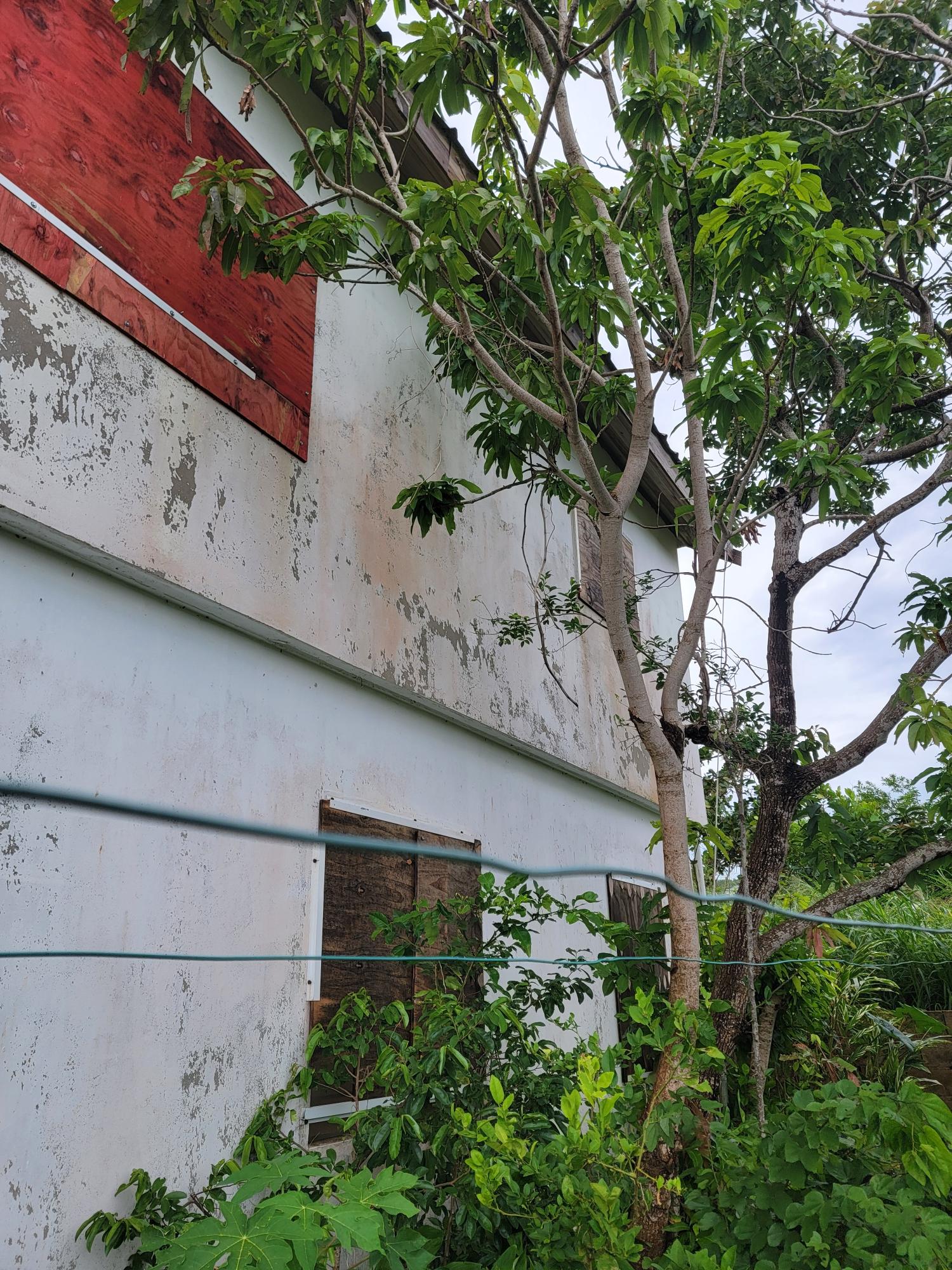 Fourteenth image of Bellevue, Southfield in Southfield, St. Elizabeth, Jamaica - property is For Sale