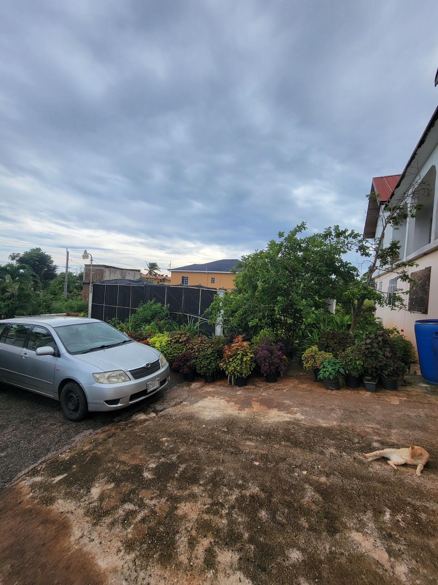 Third image of Bellevue, Southfield in Southfield, St. Elizabeth, Jamaica - property is For Sale