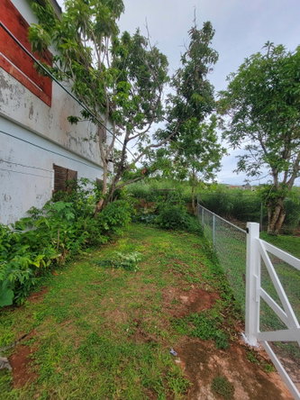 Sixth image of Bellevue, Southfield in Southfield, St. Elizabeth, Jamaica - property is For Sale