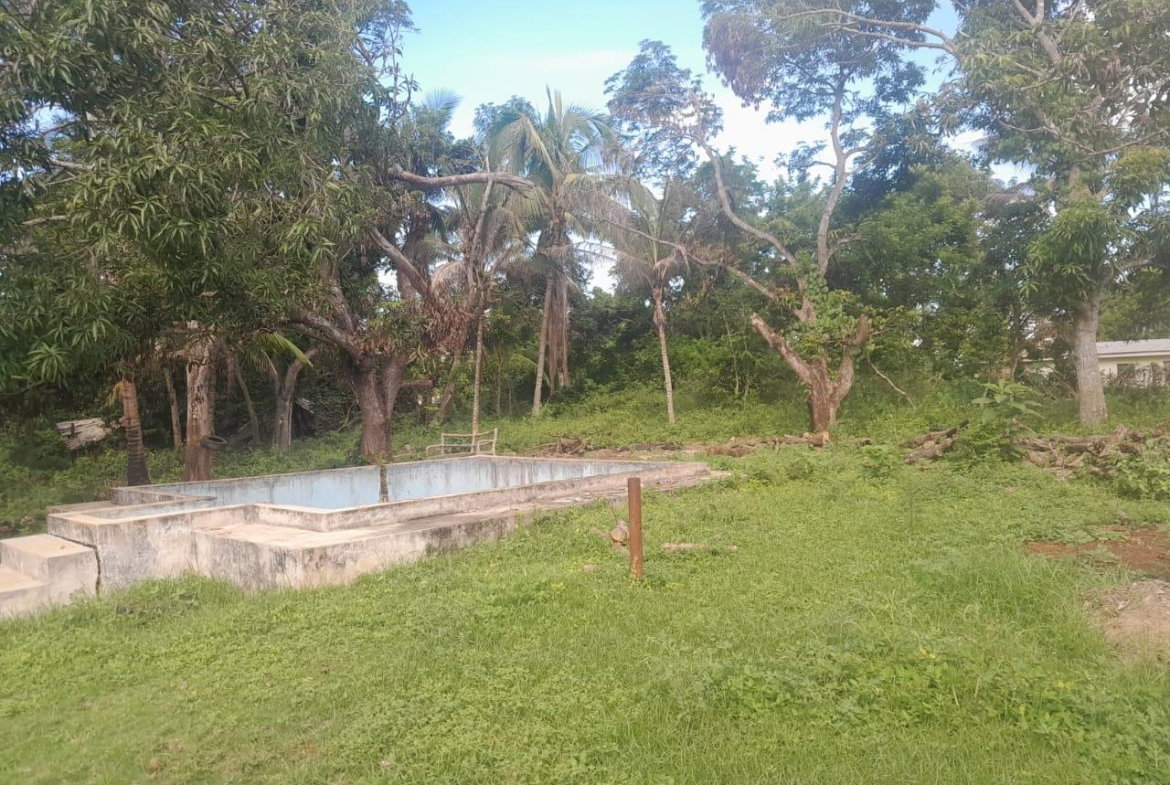Fourteenth image of Goshen in Goshen, St. Elizabeth, Jamaica - property is For Sale