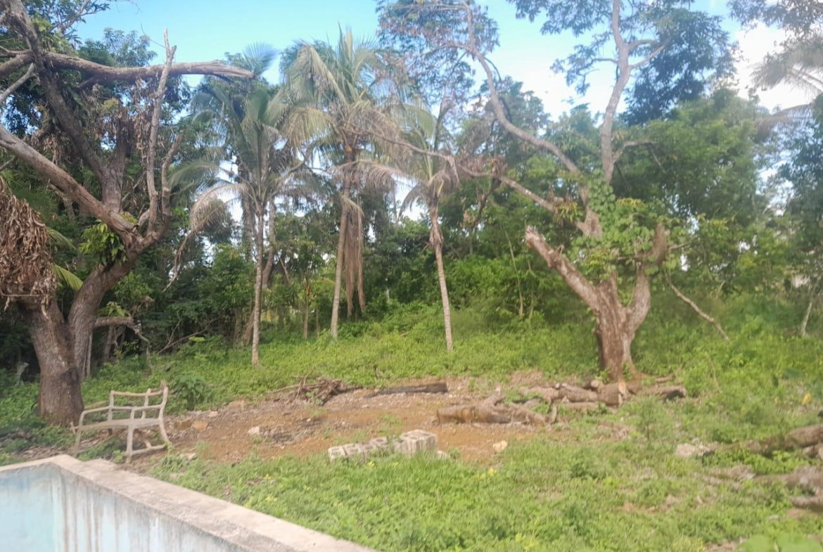 Fifteenth image of Goshen in Goshen, St. Elizabeth, Jamaica - property is For Sale