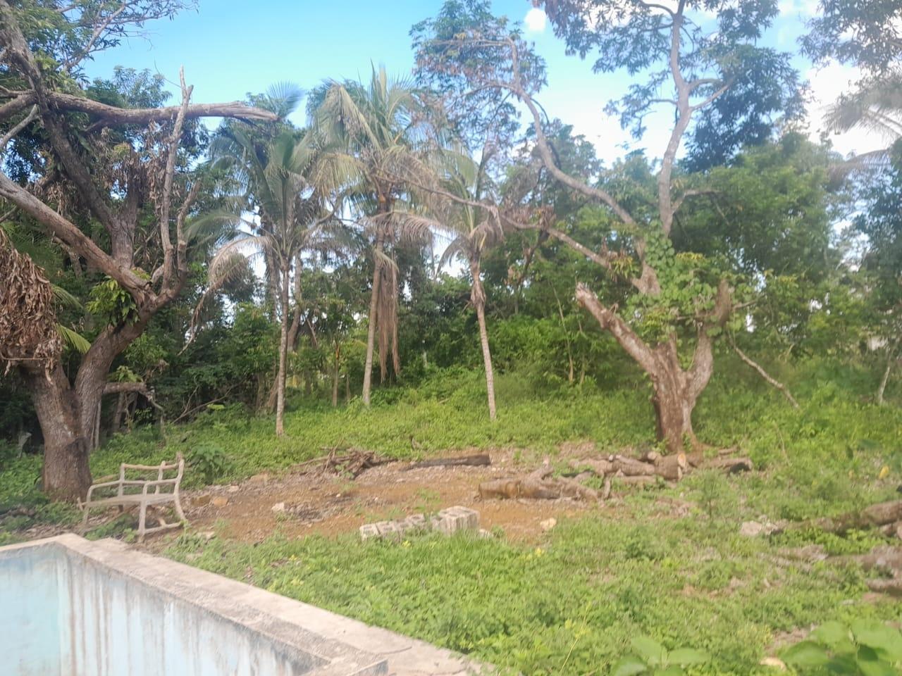 Fifteenth image of Goshen in Goshen, St. Elizabeth, Jamaica - property is For Sale