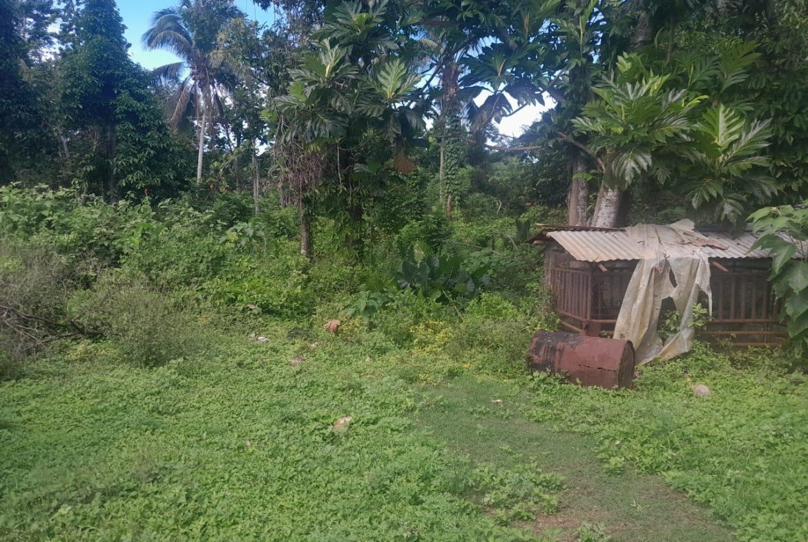 Sixteenth image of Goshen in Goshen, St. Elizabeth, Jamaica - property is For Sale