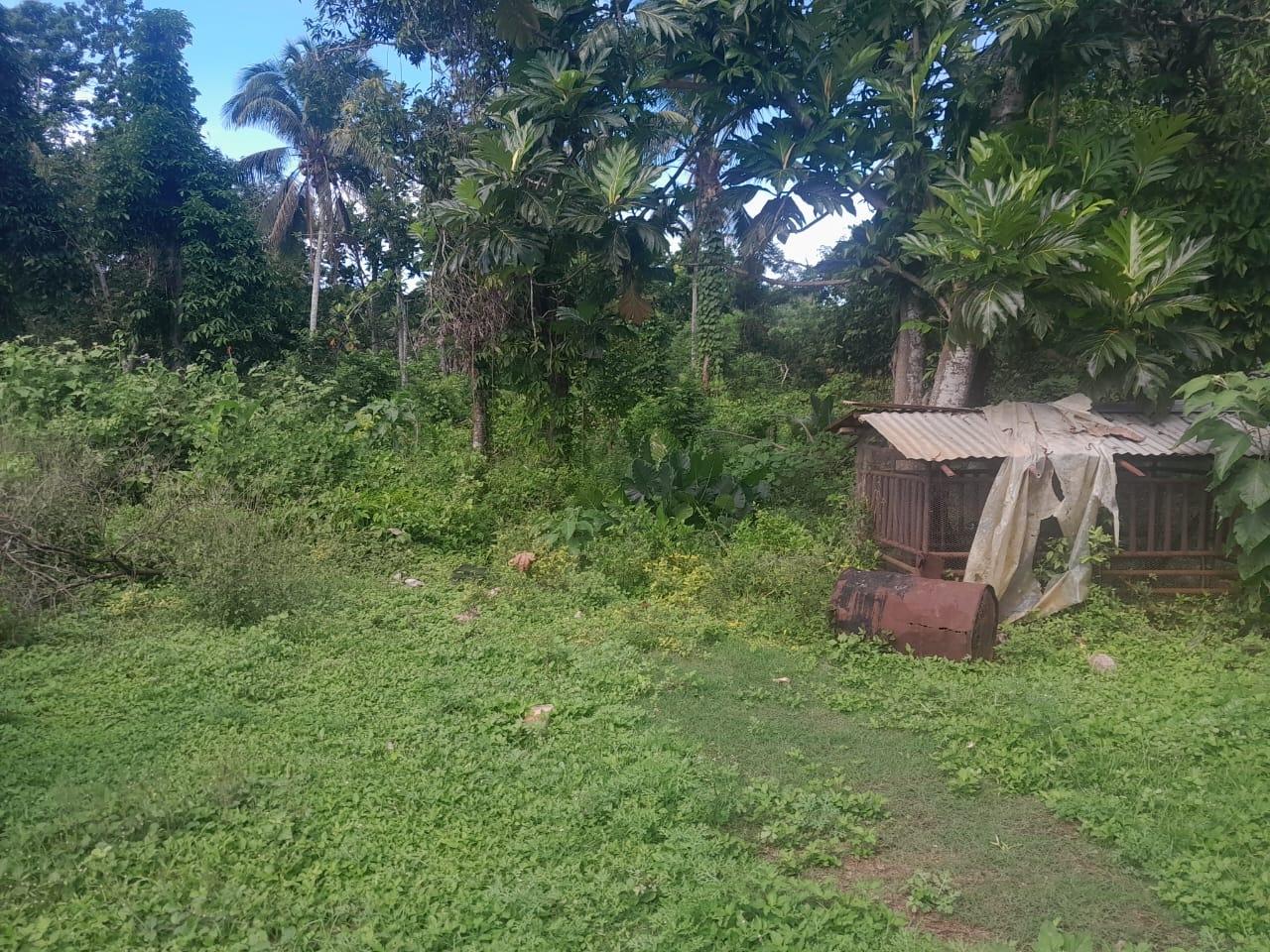 Sixteenth image of Goshen in Goshen, St. Elizabeth, Jamaica - property is For Sale