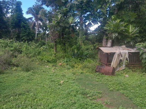 Sixteenth image of Goshen in Goshen, St. Elizabeth, Jamaica - property is For Sale