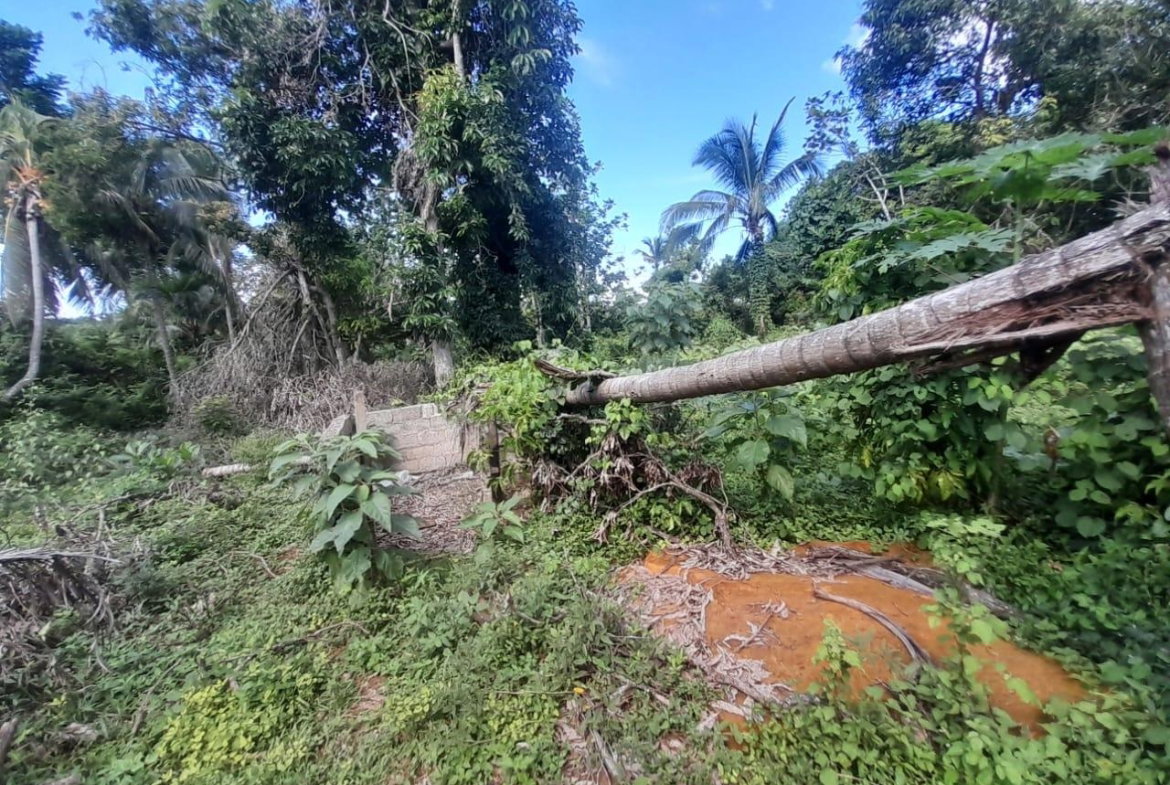 Eighteenth image of Goshen in Goshen, St. Elizabeth, Jamaica - property is For Sale