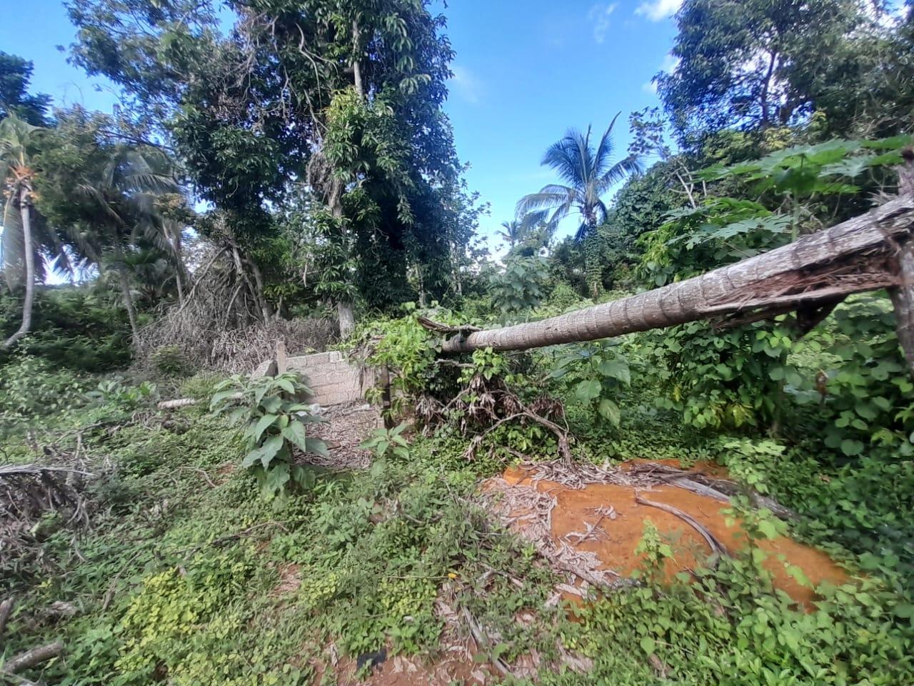 Eighteenth image of Goshen in Goshen, St. Elizabeth, Jamaica - property is For Sale