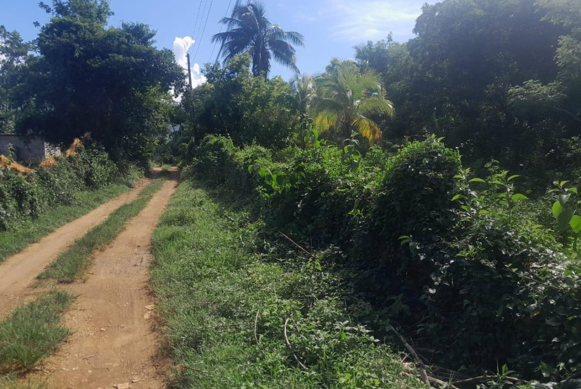 Nineteenth image of Goshen in Goshen, St. Elizabeth, Jamaica - property is For Sale