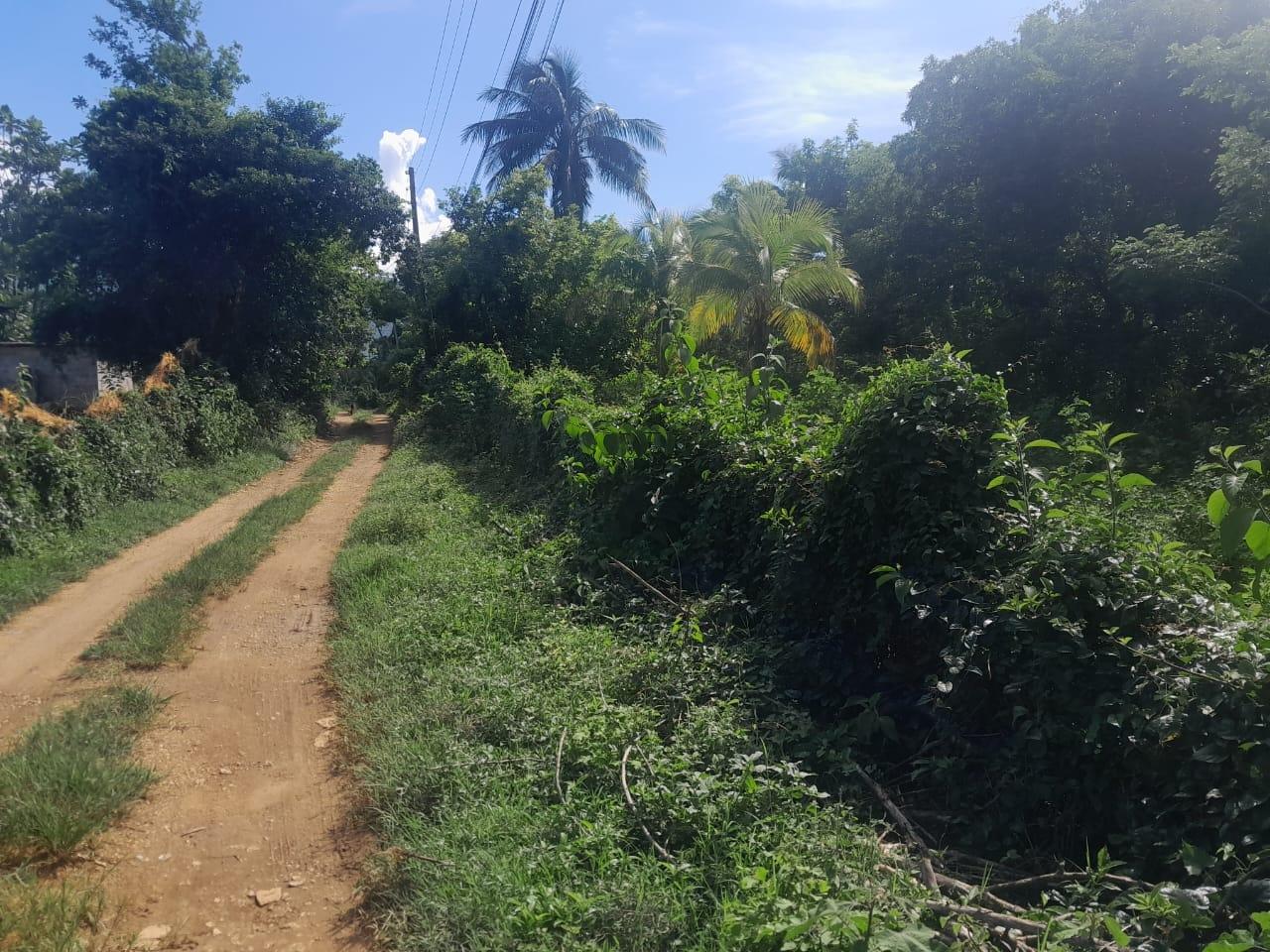 Nineteenth image of Goshen in Goshen, St. Elizabeth, Jamaica - property is For Sale