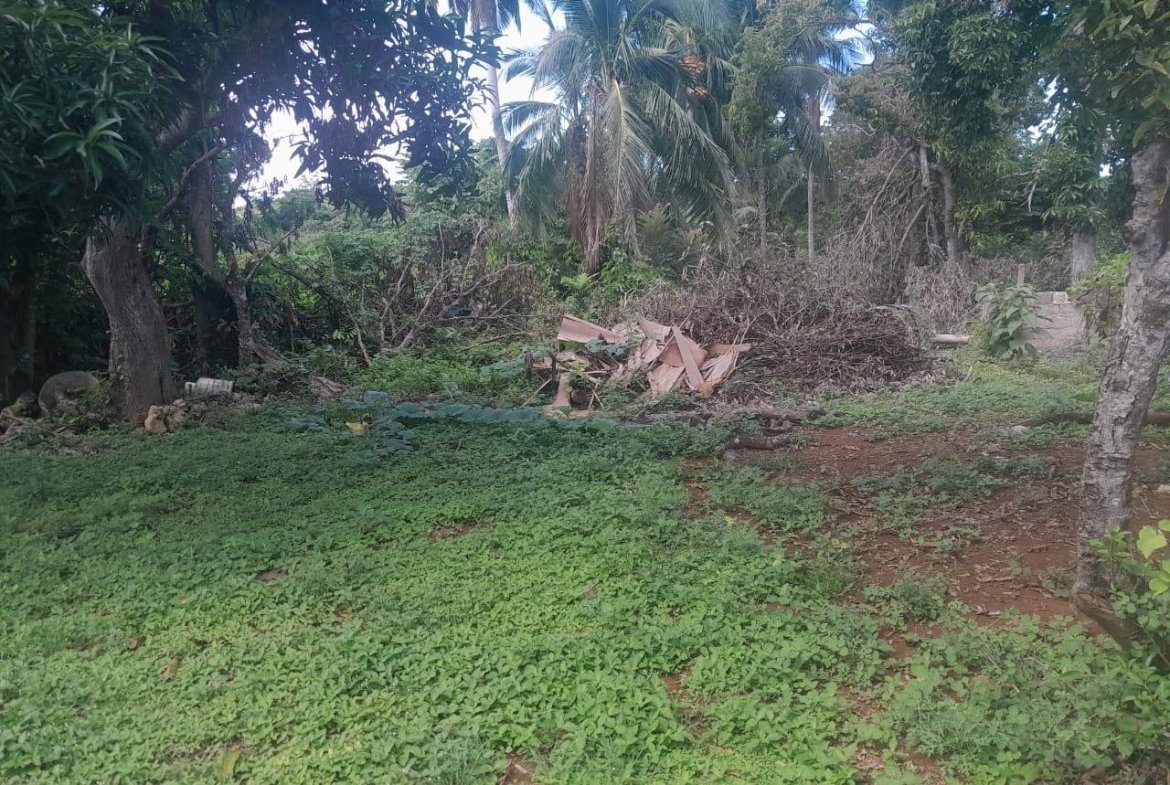 Twenty-First image of Goshen in Goshen, St. Elizabeth, Jamaica - property is For Sale