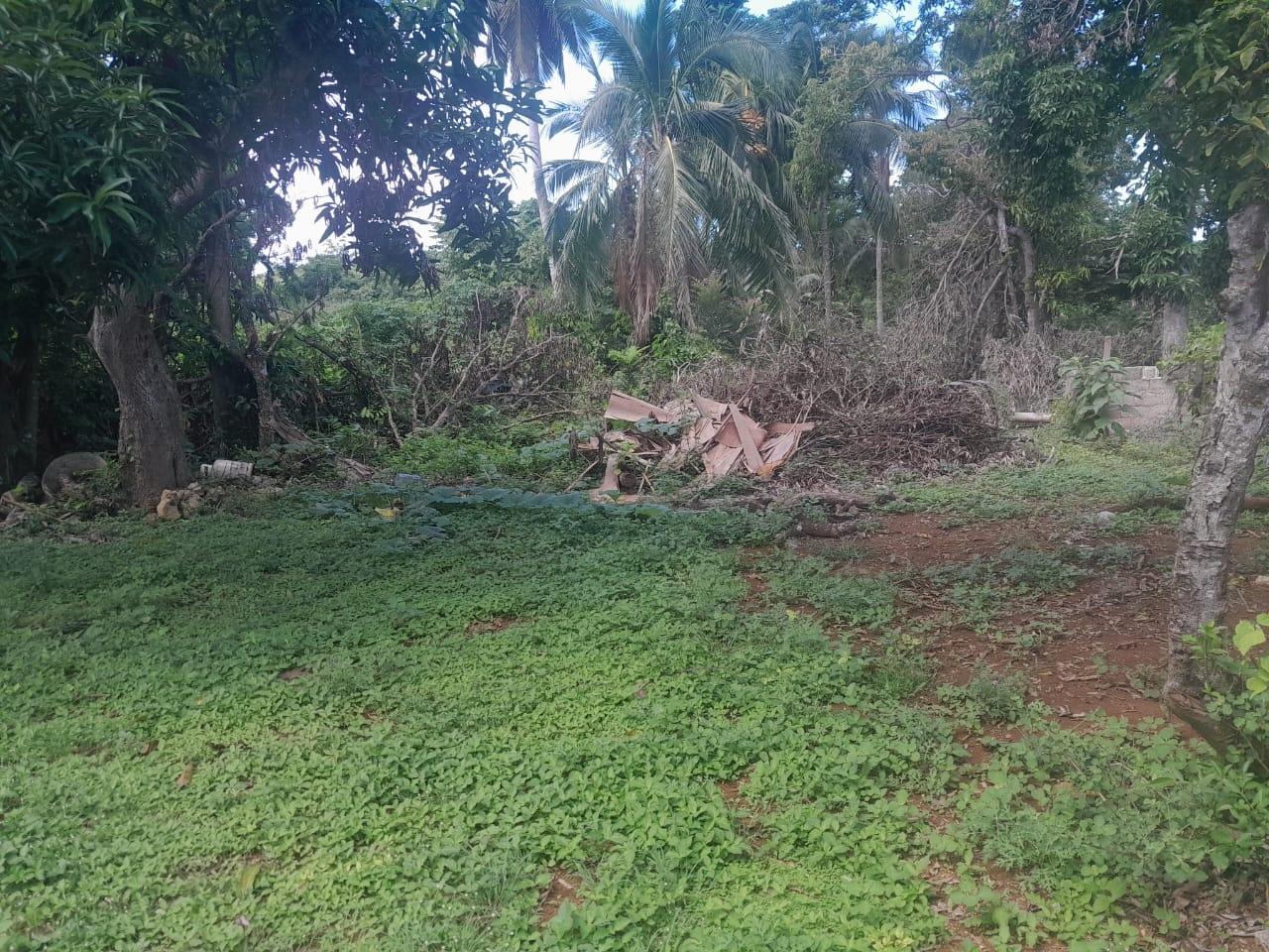 Twenty-First image of Goshen in Goshen, St. Elizabeth, Jamaica - property is For Sale
