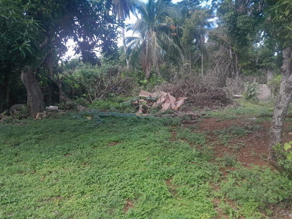 Twenty-First image of Goshen in Goshen, St. Elizabeth, Jamaica - property is For Sale
