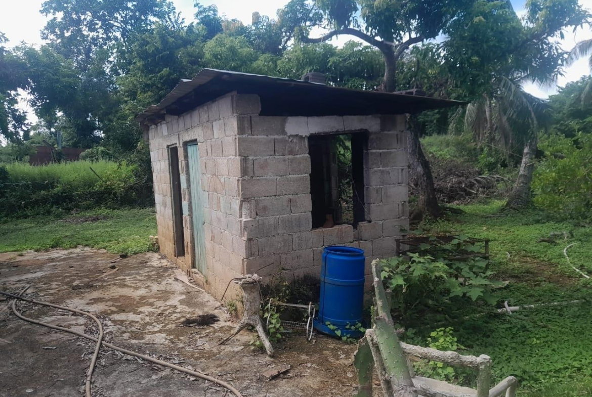 Fifth image of Goshen in Goshen, St. Elizabeth, Jamaica - property is For Sale