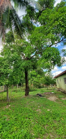 Sixth image of 238 Race Track Avenue in Denbigh, Clarendon, Jamaica - property is For Sale