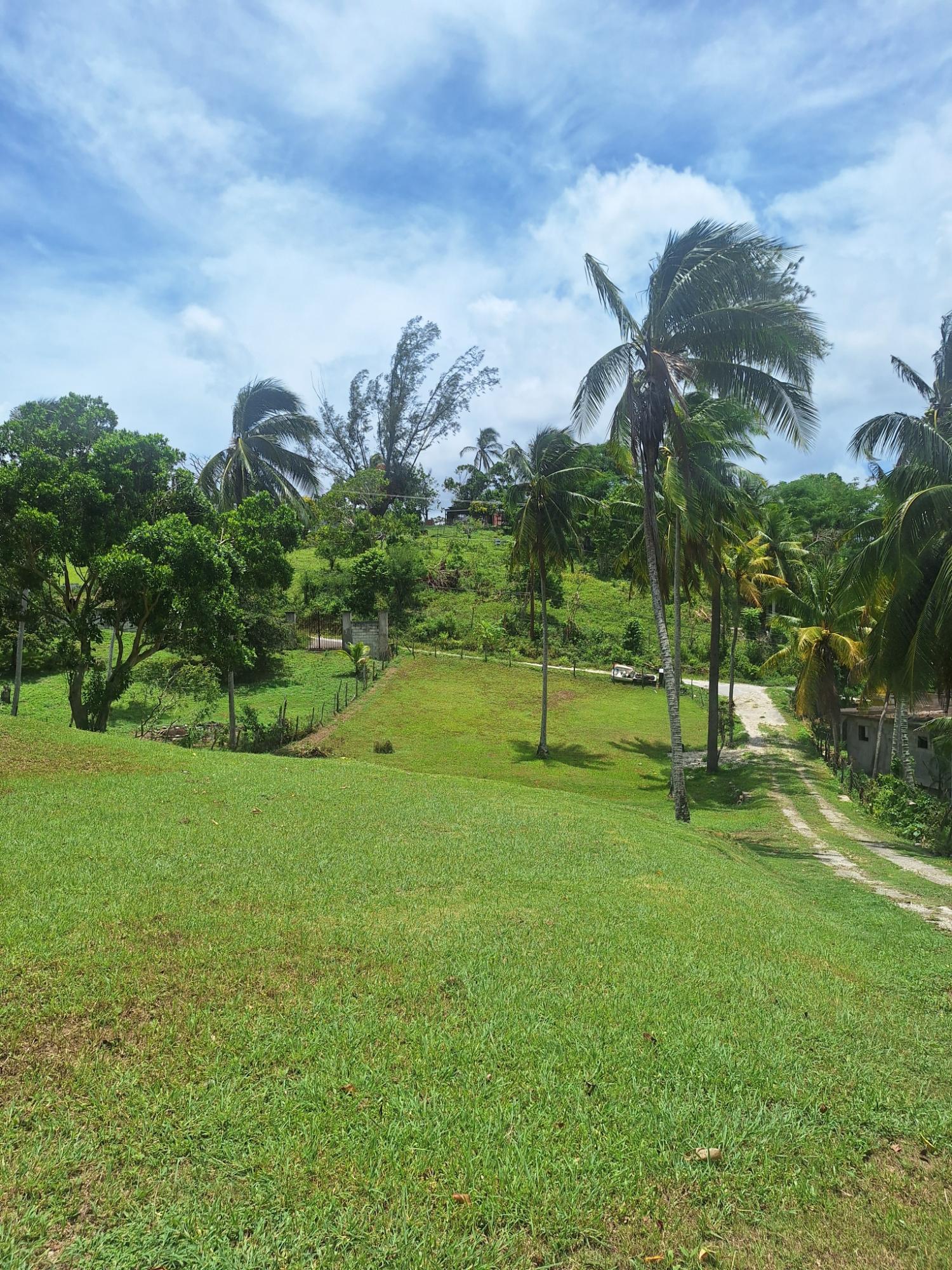 Eighteenth image of 87 Chelsea Ave, Irwin in Irwin, St. James, Jamaica - property is For Sale