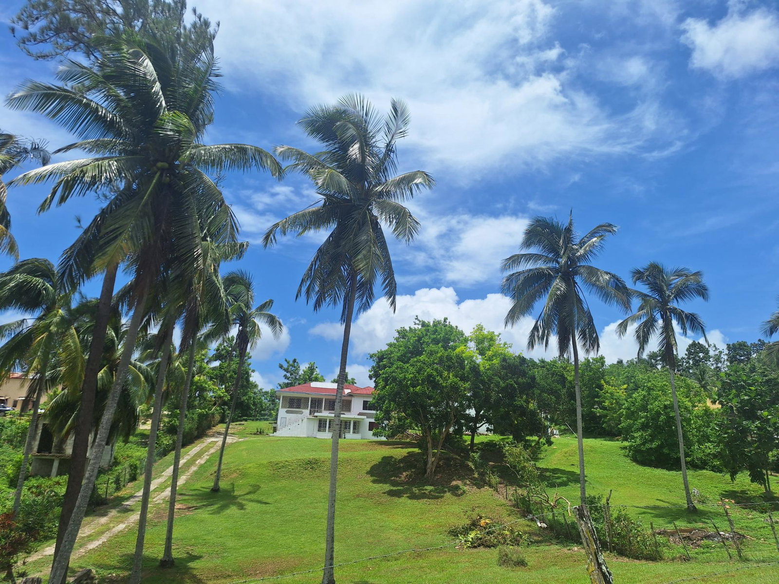 Nineteenth image of 87 Chelsea Ave, Irwin in Irwin, St. James, Jamaica - property is For Sale