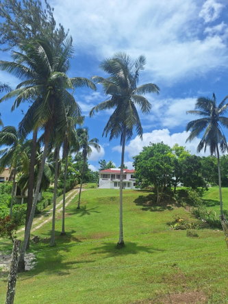 Twentieth image of 87 Chelsea Ave, Irwin in Irwin, St. James, Jamaica - property is For Sale