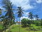 First image of 87 Chelsea Ave, Irwin in Irwin, St. James, Jamaica - property is For Sale
