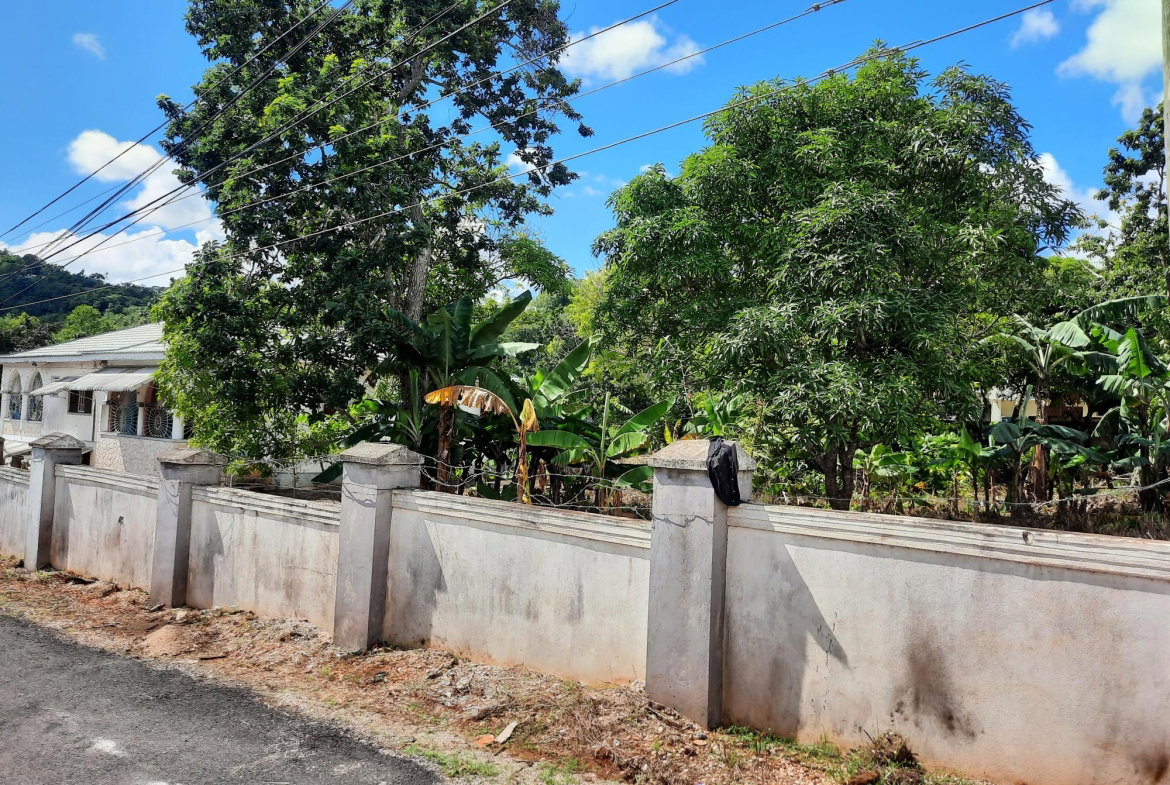 Ninth image of Royal Flat, Manchester in Mandeville, Manchester, Jamaica - property is For Sale