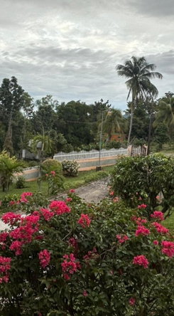 Third image of Burnt Ground in Santa Cruz, St. Elizabeth, Jamaica - property is For Sale