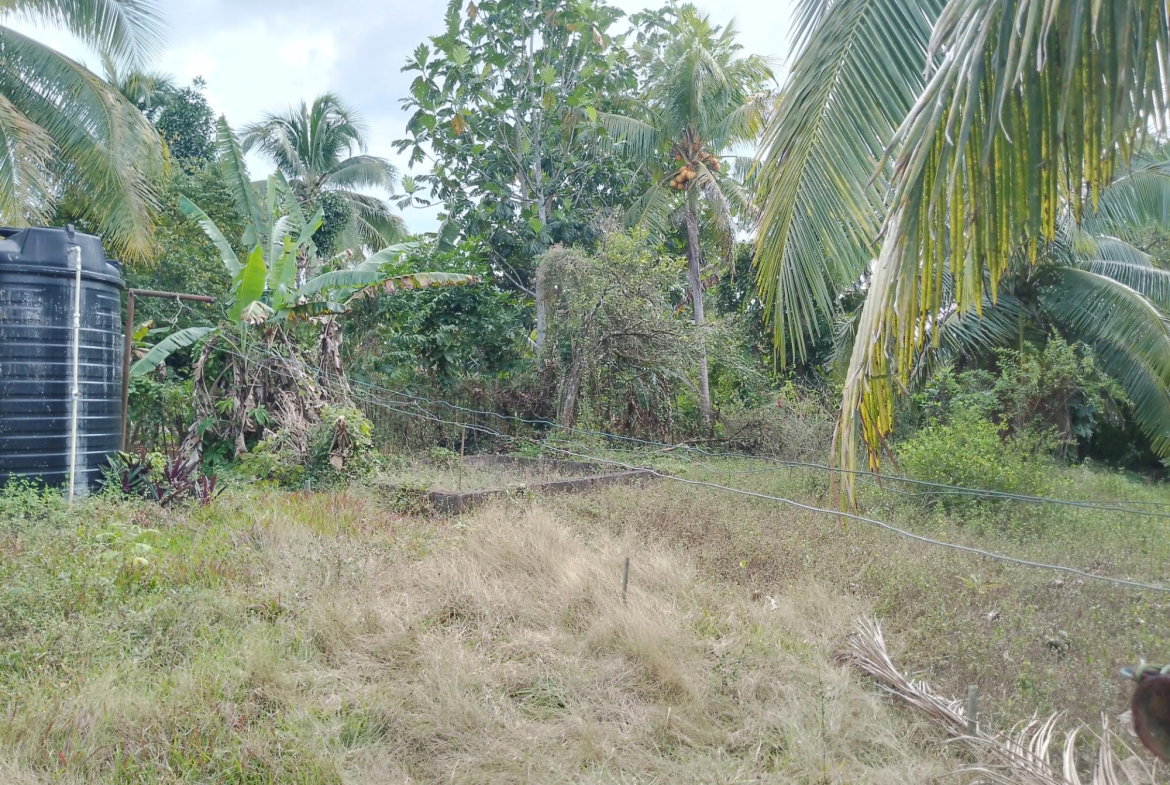 Eighth image of Linstead Main Road in Linstead, St. Catherine, Jamaica - property is For Sale