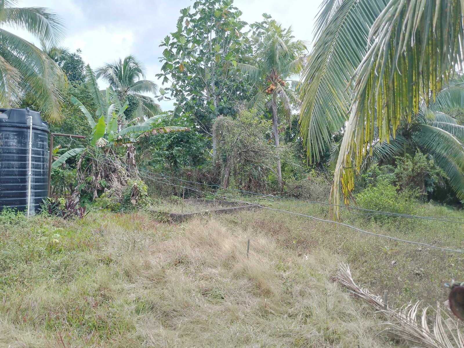 Spacious-Dual-Home-Property-for-Sale-in-Linstead-Jamaica Eighth image of Linstead Main Road in Linstead, St. Catherine, Jamaica - property is For Sale
