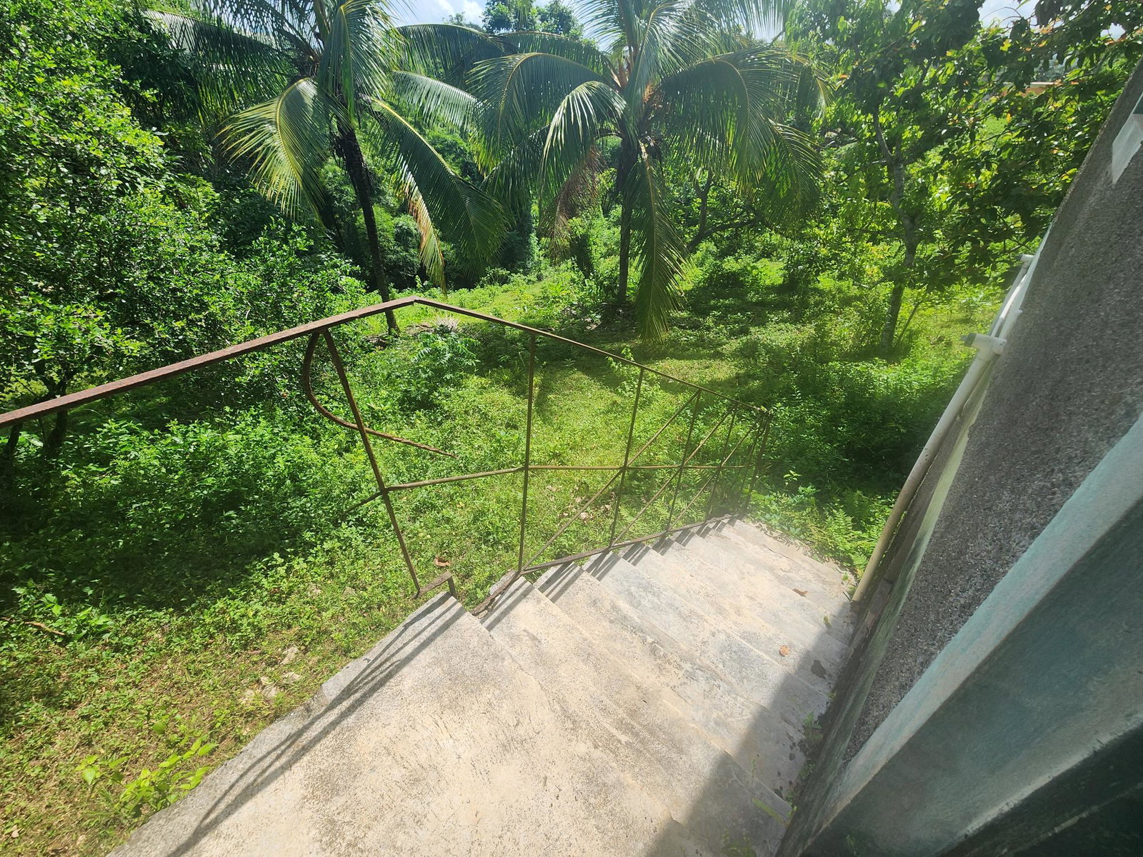 Spacious-Fixer-Upper-Home-for-Sale-in-Cheesefield-Linstead Twenty-Eighth image of Cheesefield in Cheesefield, St. Catherine, Jamaica - property is For Sale