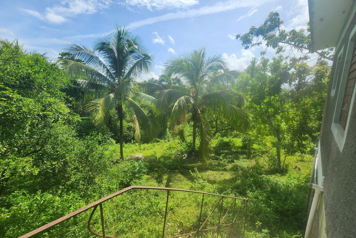 Thirtieth image of Cheesefield in Cheesefield, St. Catherine, Jamaica - property is For Sale