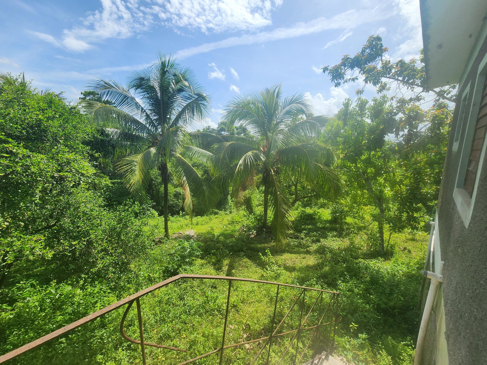 Spacious-Fixer-Upper-Home-for-Sale-in-Cheesefield-Linstead Thirtieth image of Cheesefield in Cheesefield, St. Catherine, Jamaica - property is For Sale