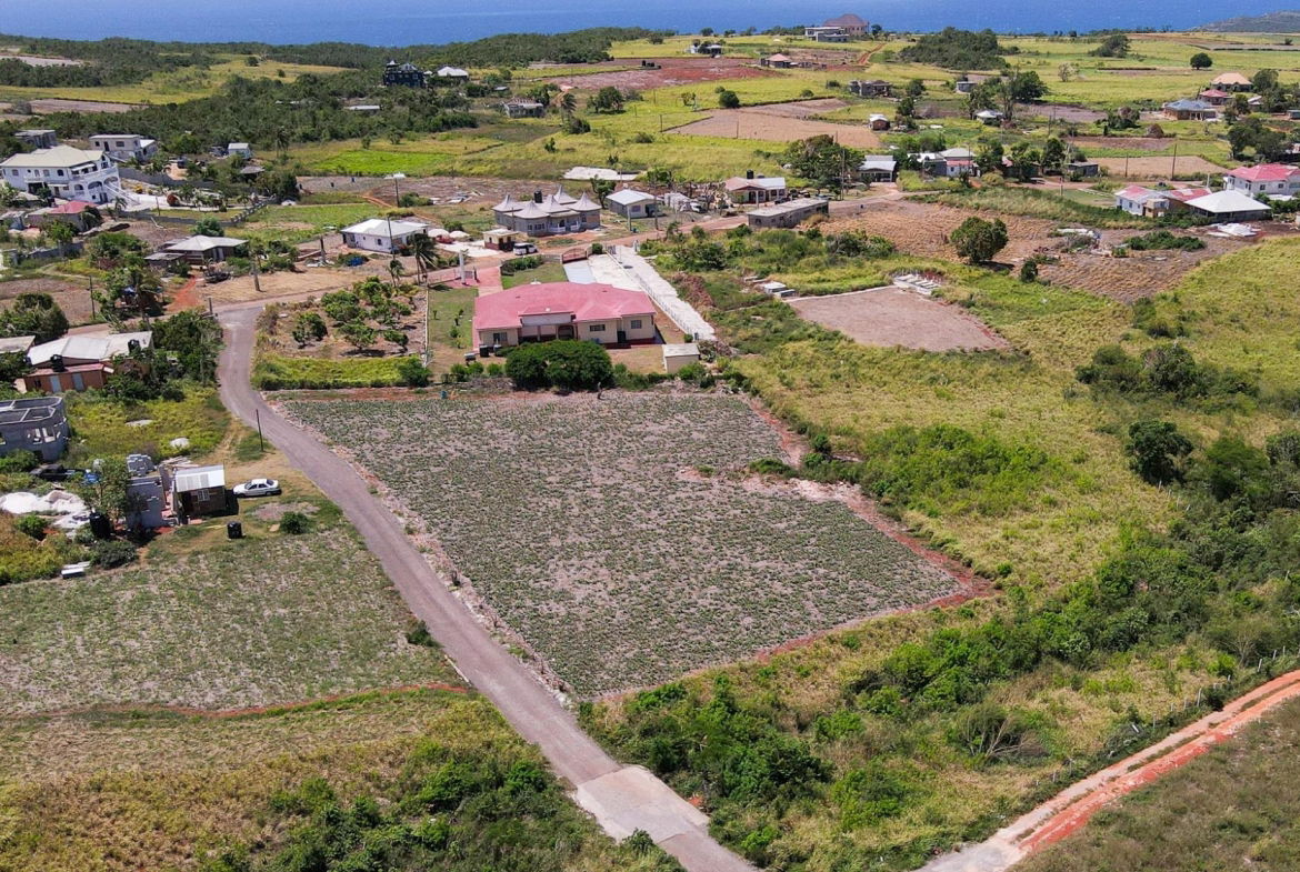 Fourth image of Part of Flagaman, st Eliz in Flagaman, St. Elizabeth, Jamaica - property is For Sale