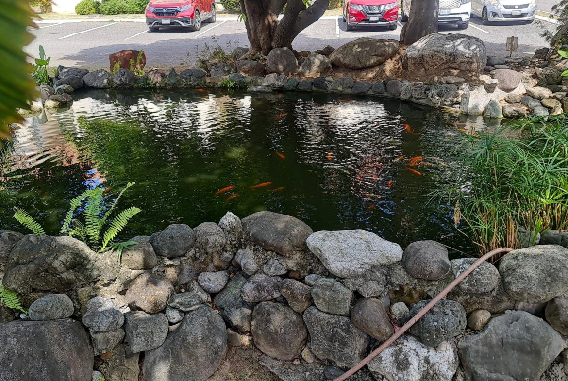 Seventeenth image of 111- Plantation Spring in Kingston 20, St. Andrew, Jamaica - property is For Rent