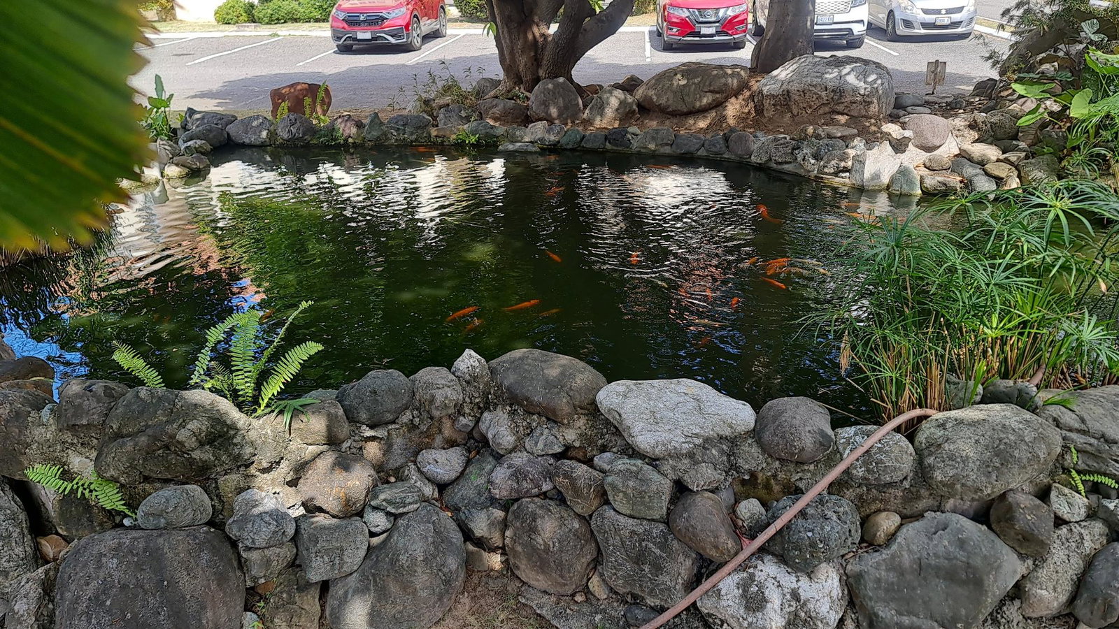 Seventeenth image of 111- Plantation Spring in Kingston 20, St. Andrew, Jamaica - property is For Rent