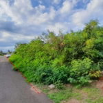 First image of Belle Way in Bellevue Heights, St. Catherine, Jamaica - property is For Sale