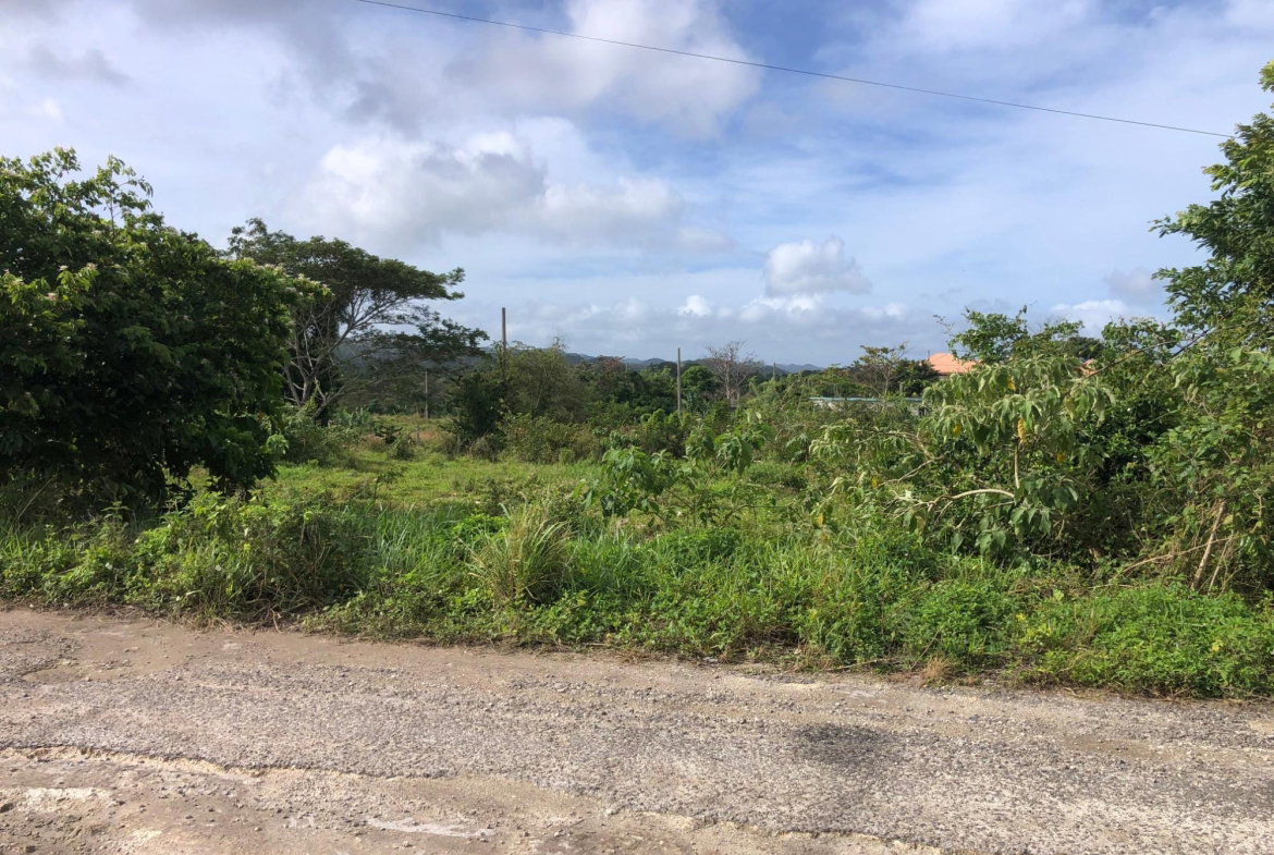 Third image of Lot 182 Brahman Rd, Minard Estate in Browns Town, St. Ann, Jamaica - property is For Sale