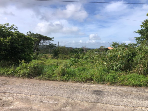 Third image of Lot 182 Brahman Rd, Minard Estate in Browns Town, St. Ann, Jamaica - property is For Sale