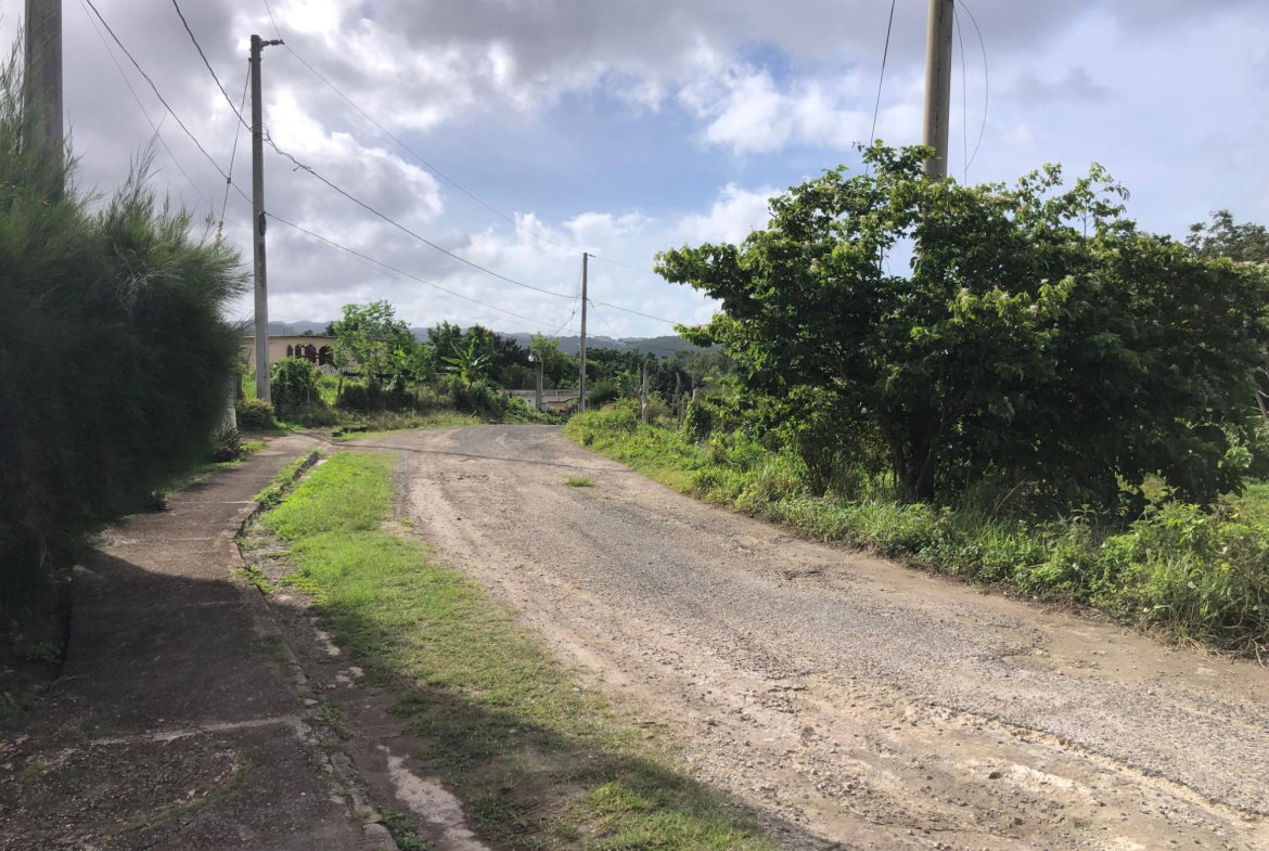 Fourth image of Lot 182 Brahman Rd, Minard Estate in Browns Town, St. Ann, Jamaica - property is For Sale