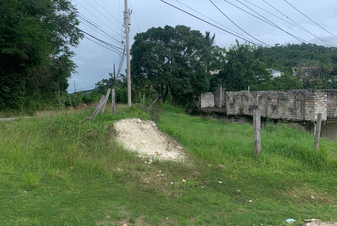 Twelfth image of Lot 3- Huntley, Browns Town in Huntley, St. Ann, Jamaica - property is For Sale