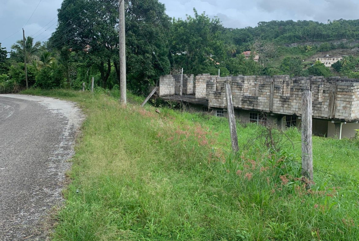 Thirteenth image of Lot 3- Huntley, Browns Town in Huntley, St. Ann, Jamaica - property is For Sale