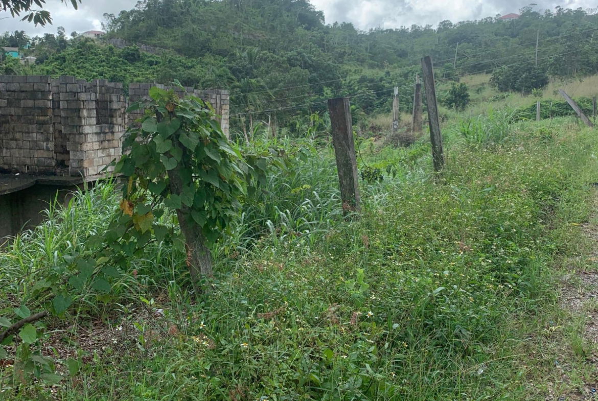 Fifteenth image of Lot 3- Huntley, Browns Town in Huntley, St. Ann, Jamaica - property is For Sale