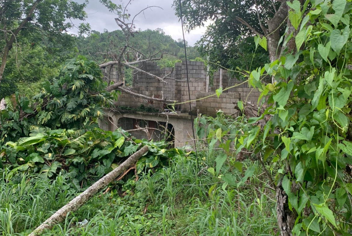 Seventeenth image of Lot 3- Huntley, Browns Town in Huntley, St. Ann, Jamaica - property is For Sale