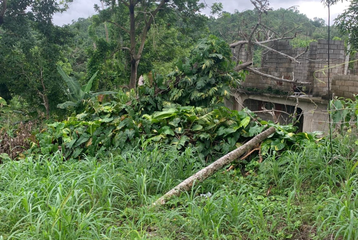 Eighteenth image of Lot 3- Huntley, Browns Town in Huntley, St. Ann, Jamaica - property is For Sale