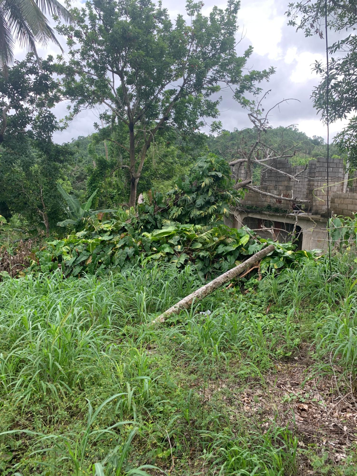 Spacious-Two-Story-Home-for-Sale-in-Huntley-Browns-Town Eighteenth image of Lot 3- Huntley, Browns Town in Huntley, St. Ann, Jamaica - property is For Sale