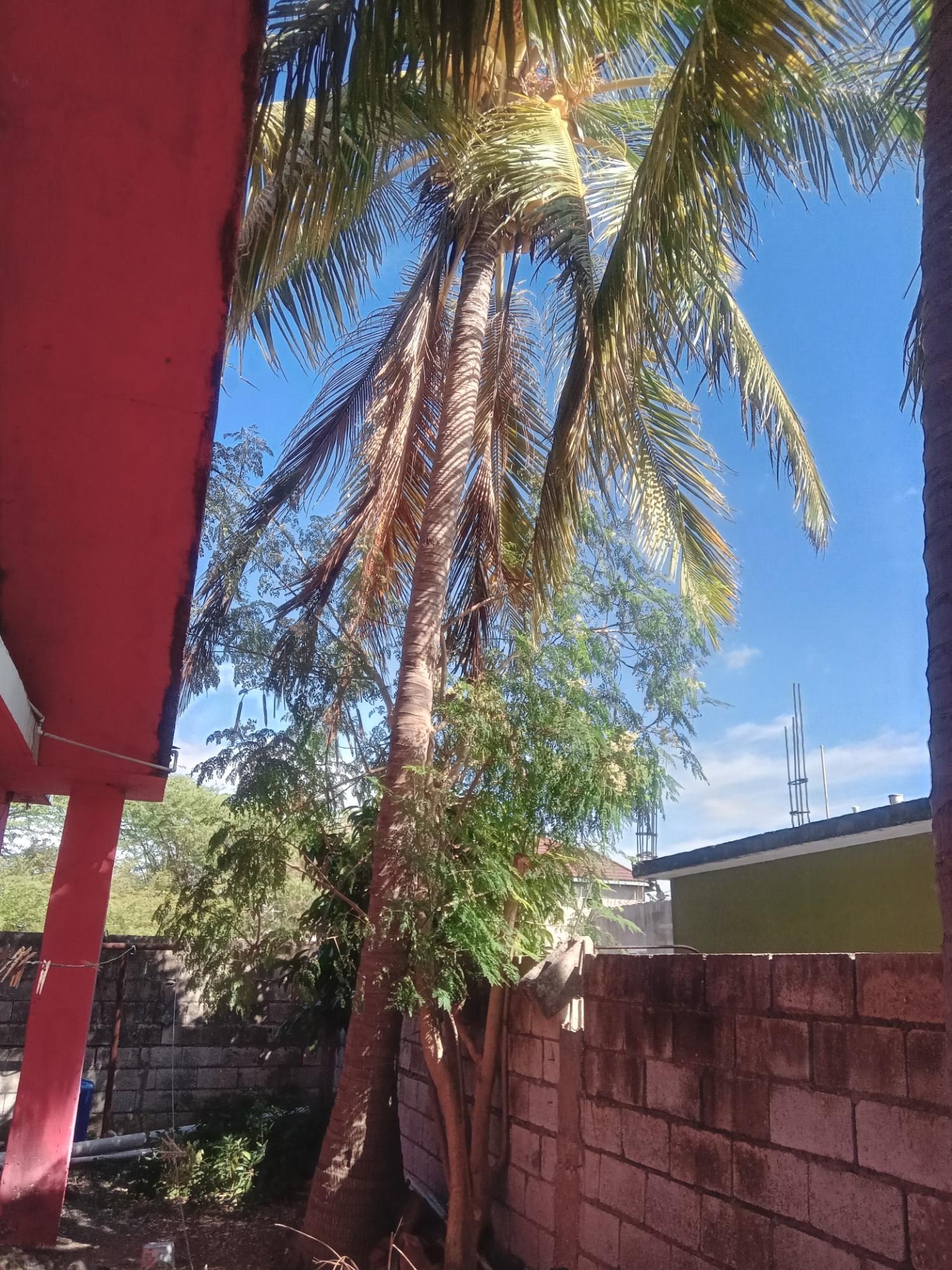 Spacious-Two-Story-Home-in-Sydenham-Villa-Jamaica-Ideal-for-Multi-Family-Living Nineteenth image of 399 Syndenham Villa in Spanish Town, St. Catherine, Jamaica - property is For Sale