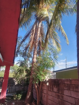Nineteenth image of 399 Syndenham Villa in Spanish Town, St. Catherine, Jamaica - property is For Sale