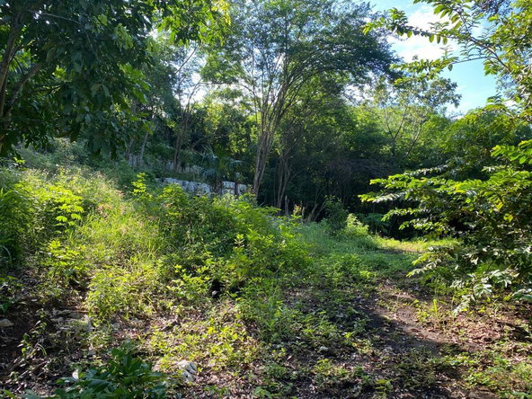 Nineteenth image of Lot 250- St. Jago Way, St. Jago hi in Spanish Town, St. Catherine, Jamaica - property is For Sale