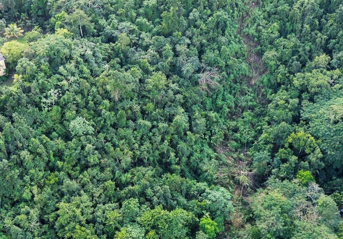 Fifteenth image of 26 Stony Hill Heights in STONY HILL, St. Andrew, Jamaica - property is For Sale