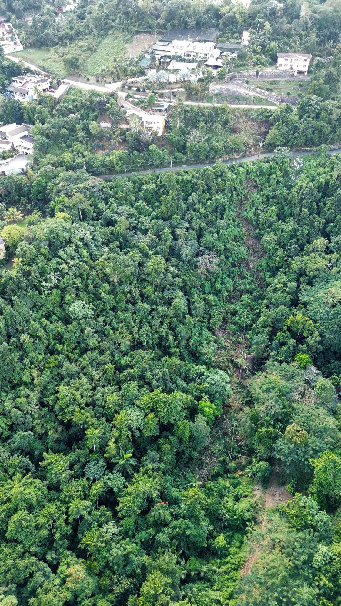 Stony-Hill-Heights-1.29-Acre-Residential-Development-Land-for-Sale Fifteenth image of 26 Stony Hill Heights in STONY HILL, St. Andrew, Jamaica - property is For Sale