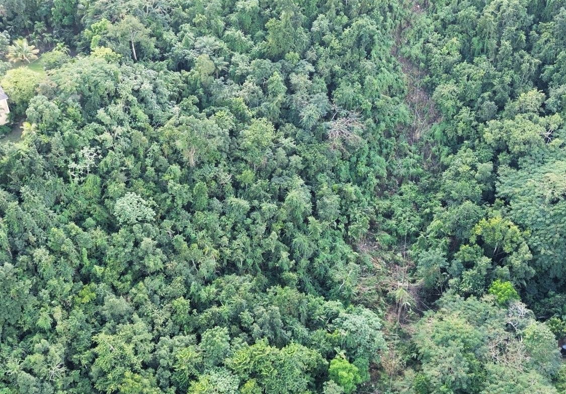 Fourth image of 26 Stony Hill Heights in STONY HILL, St. Andrew, Jamaica - property is For Sale