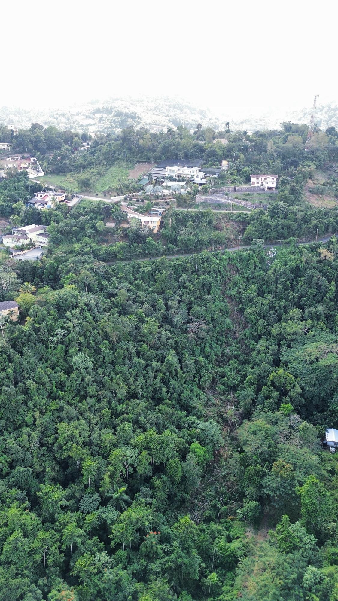 Stony-Hill-Heights-1.29-Acre-Residential-Development-Land-for-Sale Fifth image of 26 Stony Hill Heights in STONY HILL, St. Andrew, Jamaica - property is For Sale