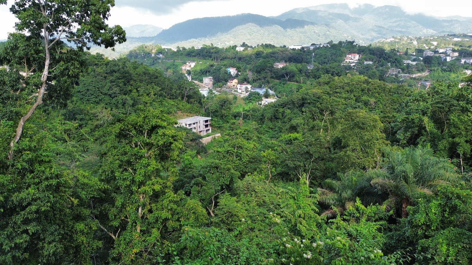 Stony-Hill-Heights-1.29-Acre-Residential-Development-Land-for-Sale Sixth image of 26 Stony Hill Heights in STONY HILL, St. Andrew, Jamaica - property is For Sale